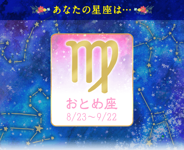 �v���t�B�[��