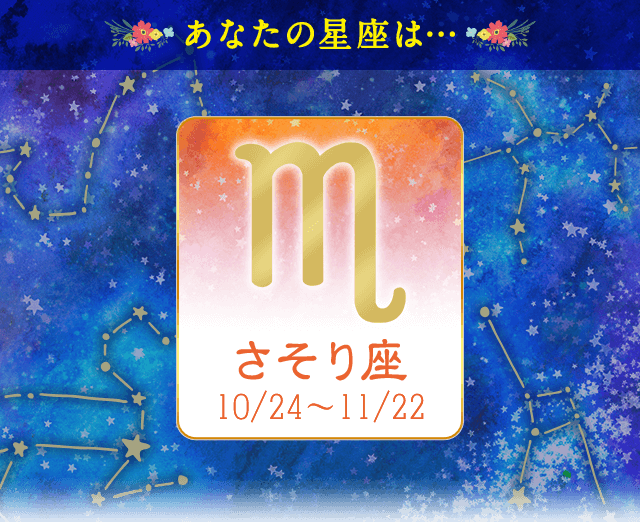 �v���t�B�[��