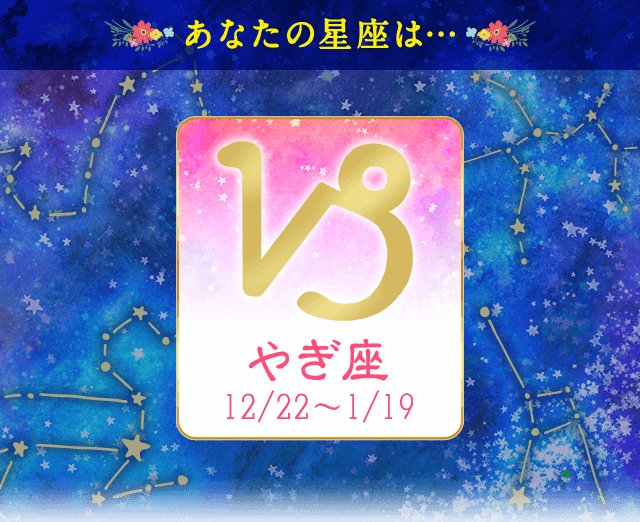 �v���t�B�[��